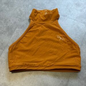 Dragonfly Halter Pole Top